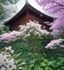 完结小说《三生三世十里桃花》封面